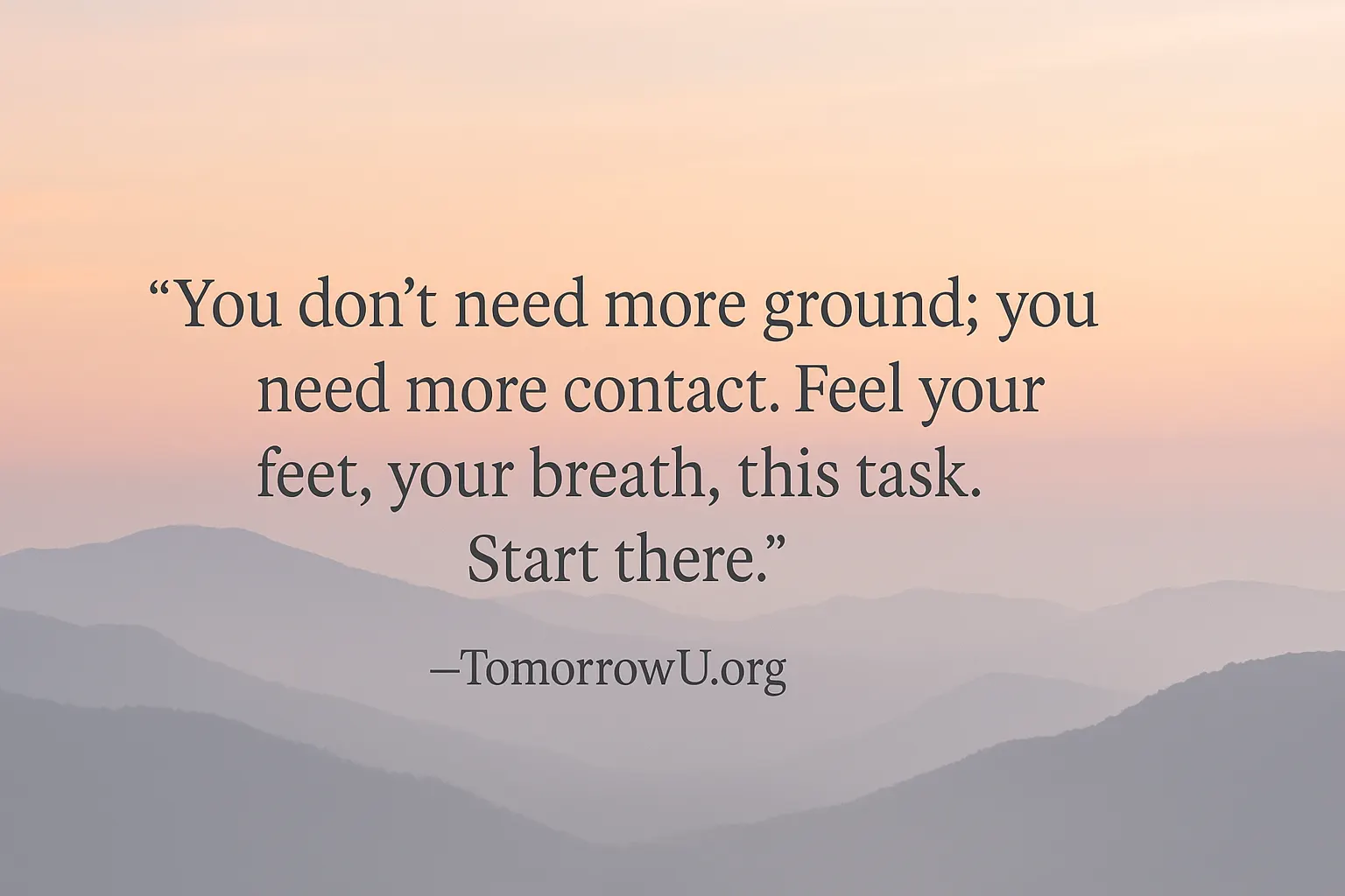 You are currently viewing Grounded in the Moment