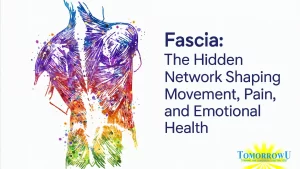 Read more about the article Fascia: Unlocking Your Body’s Hidden Web for Movement, Ease & Emotional Well-being