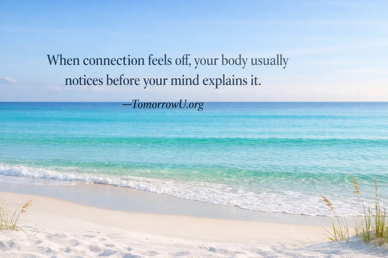 You are currently viewing When the Body Notices What Words Haven’t Said