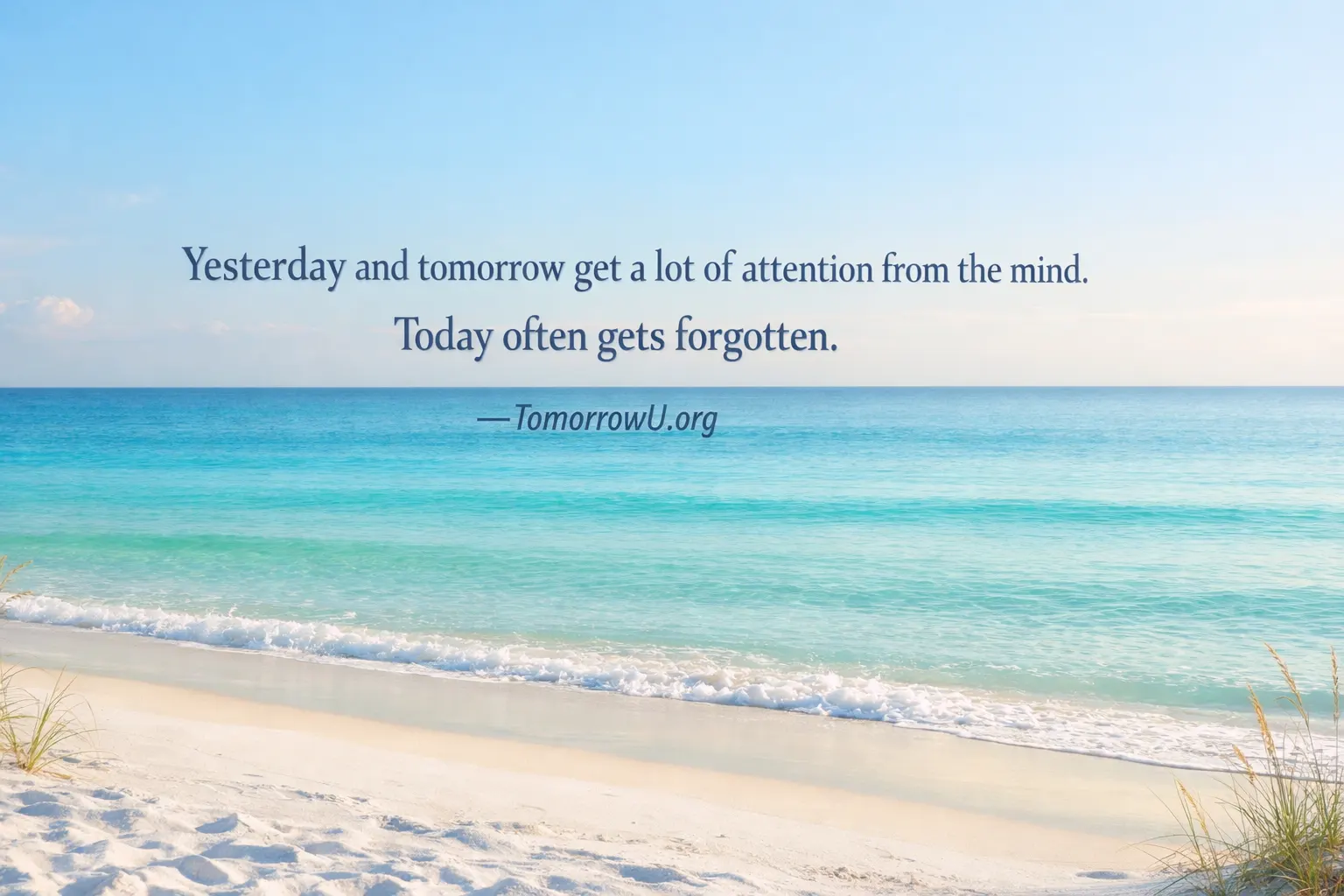 You are currently viewing The Moment That Often Gets Missed