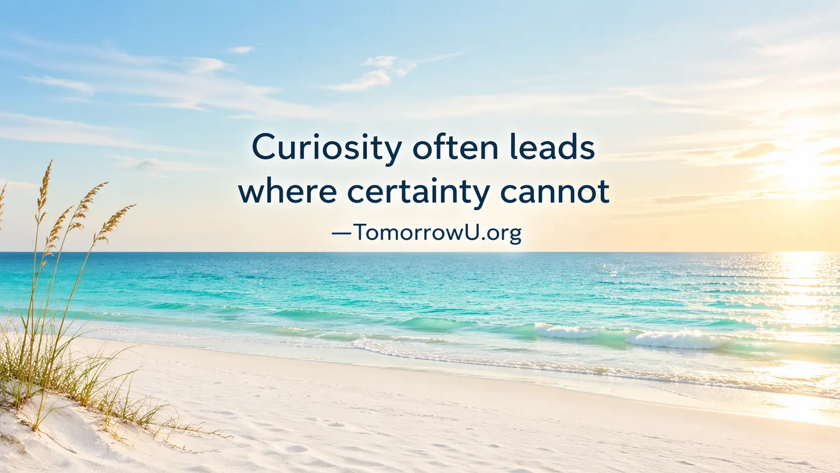 You are currently viewing Curiosity: The Quiet Path to Growth