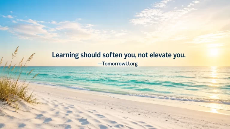 Read more about the article Awareness That Softens, Not Separates