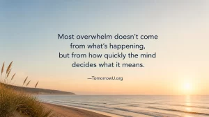 Read more about the article When Overwhelm Isn’t About the Situation