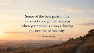 Read more about the article Ordinary Moments
