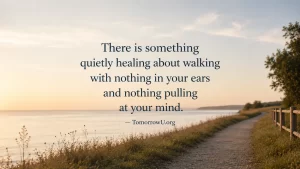Read more about the article The Walk Without Anything