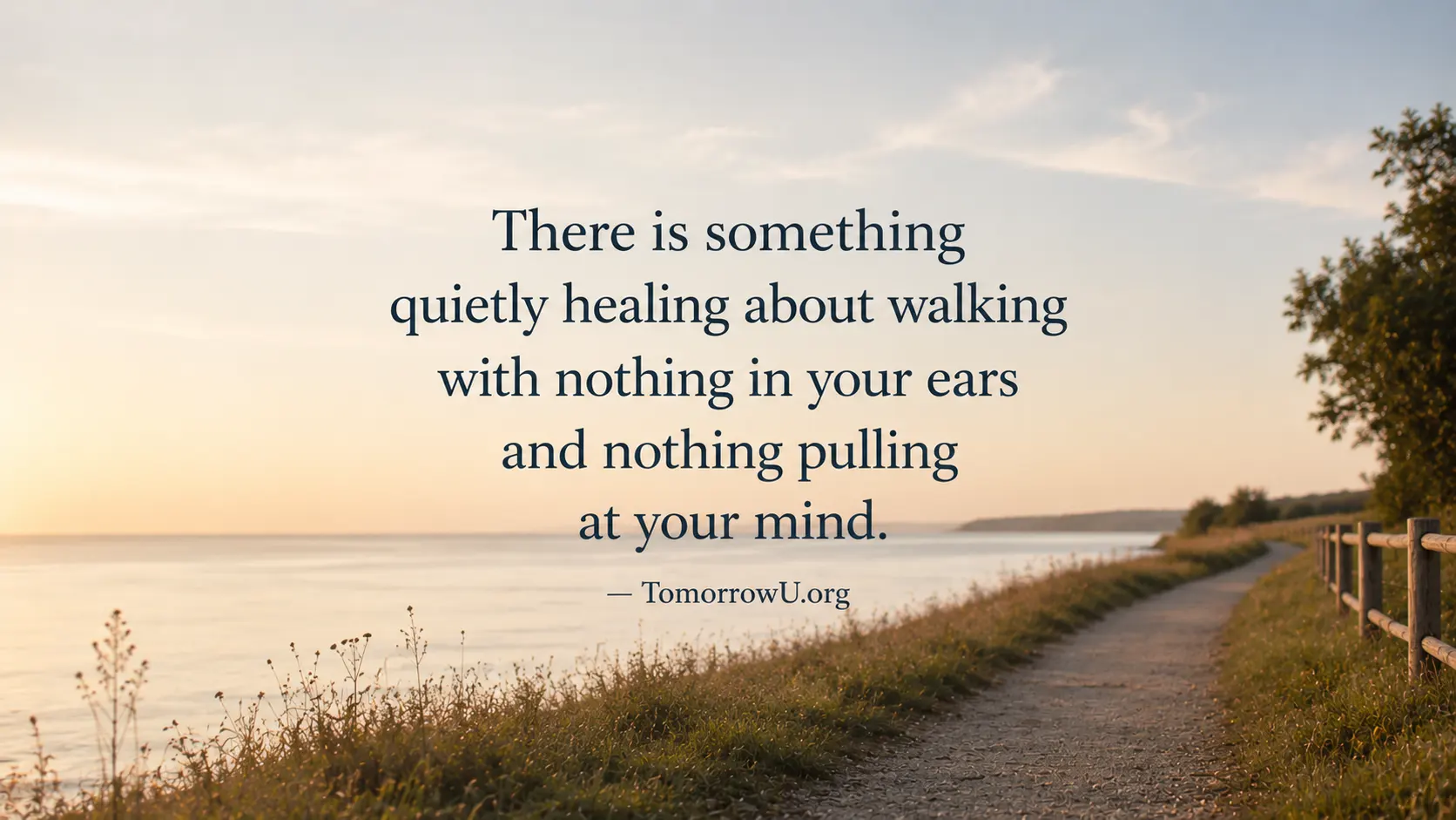 You are currently viewing The Walk Without Anything
