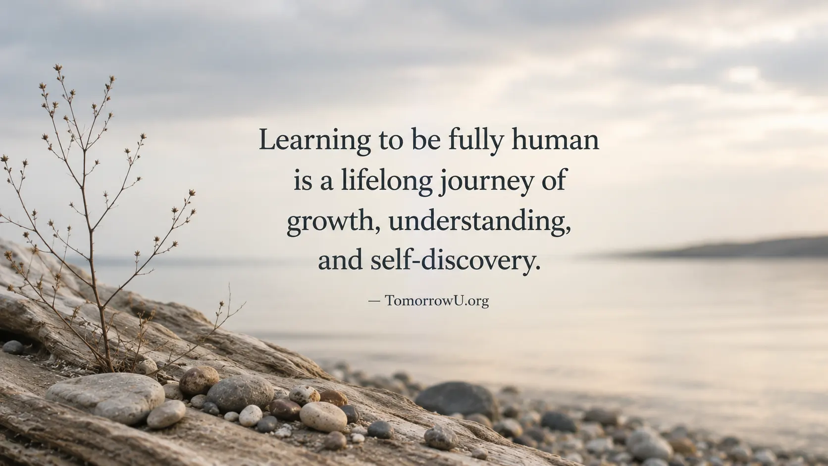 You are currently viewing Learning to Be Human