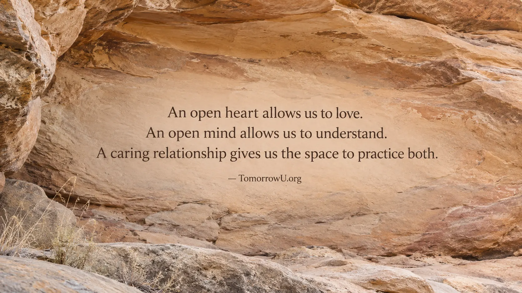 You are currently viewing An Open Heart, an Open Mind