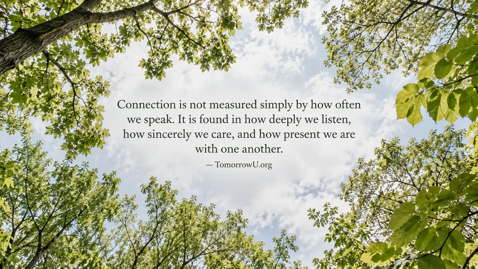 You are currently viewing Connection