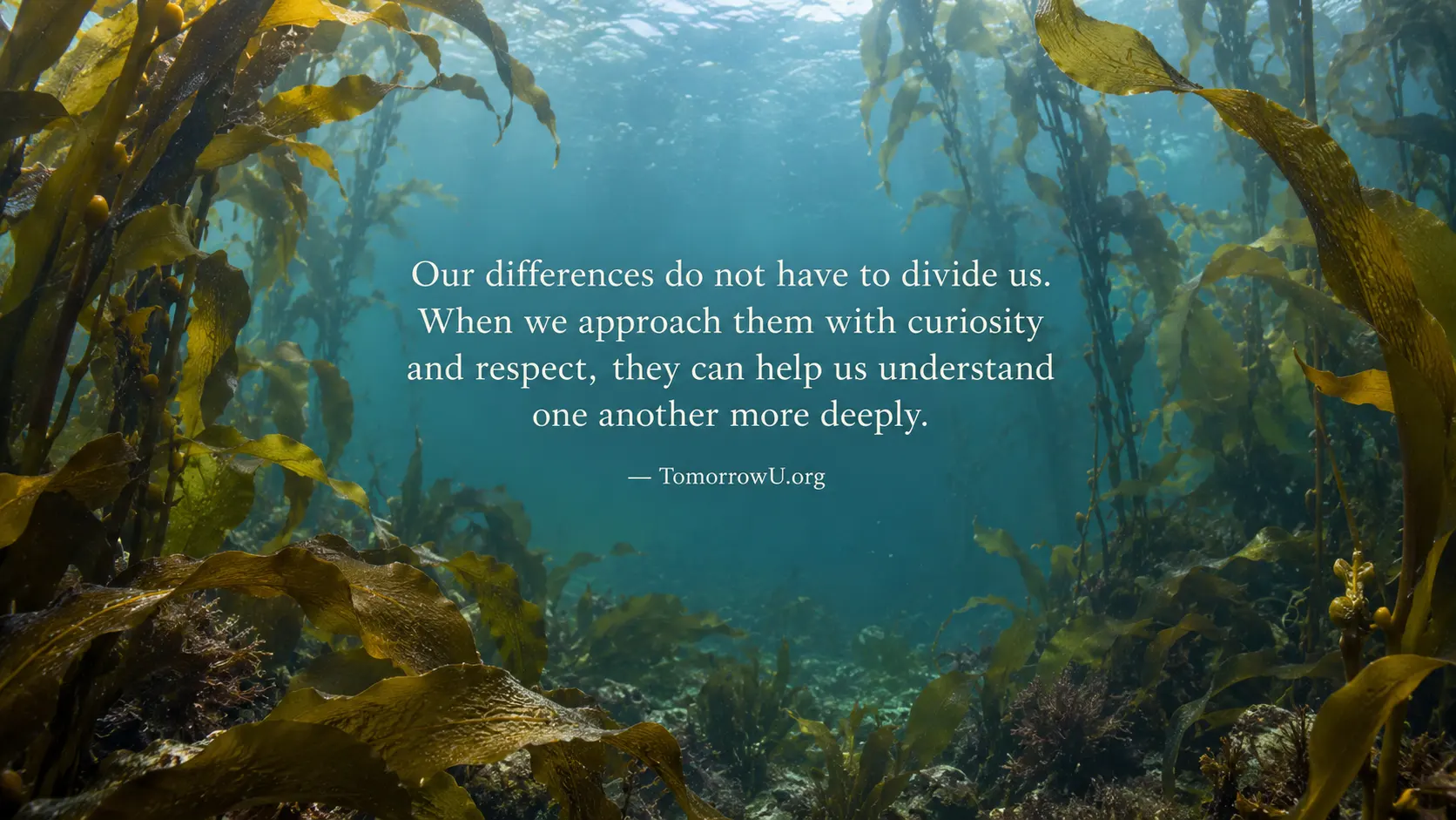 You are currently viewing Different Does Not Mean Divided