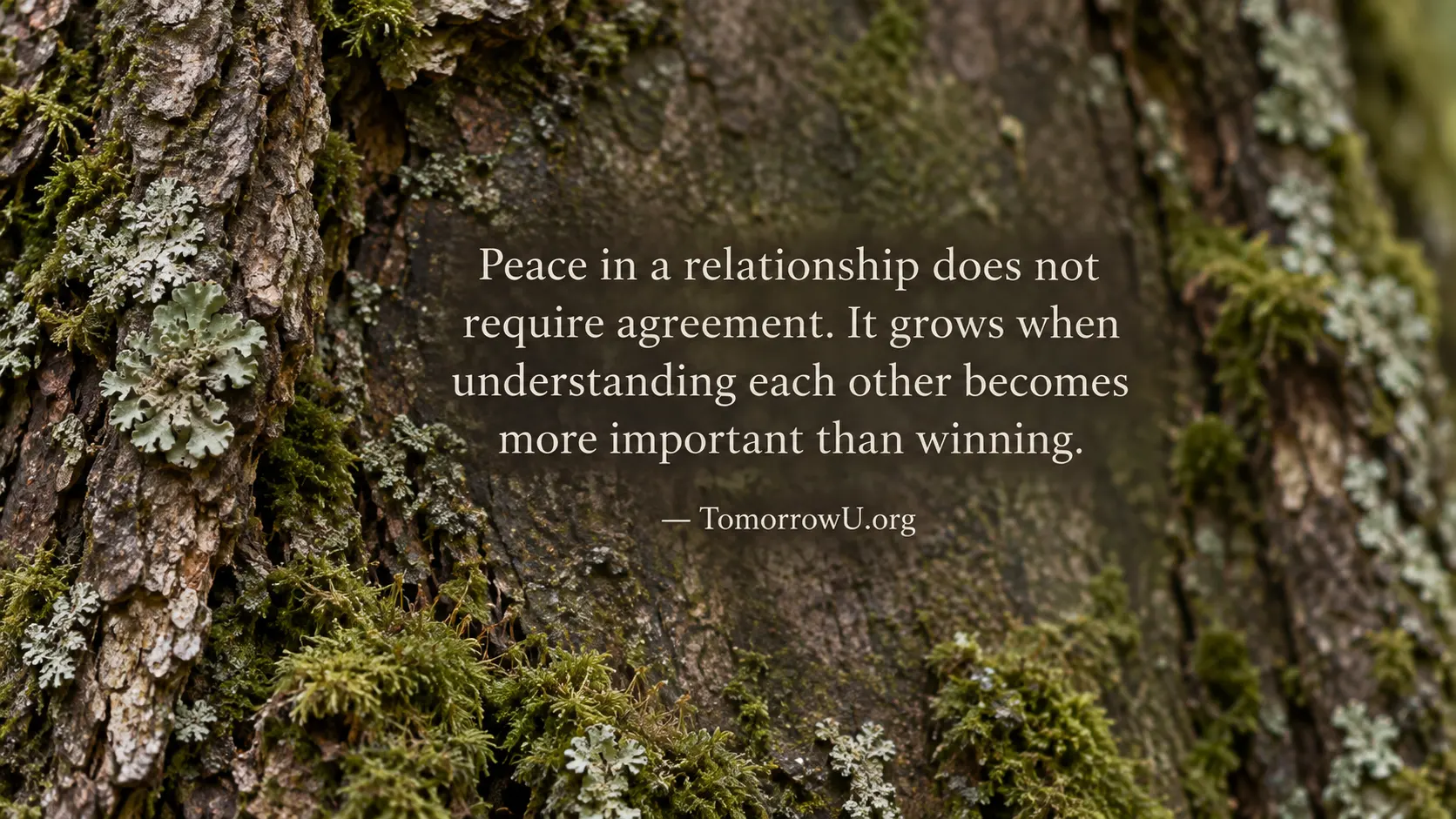 You are currently viewing Peace Over Winning