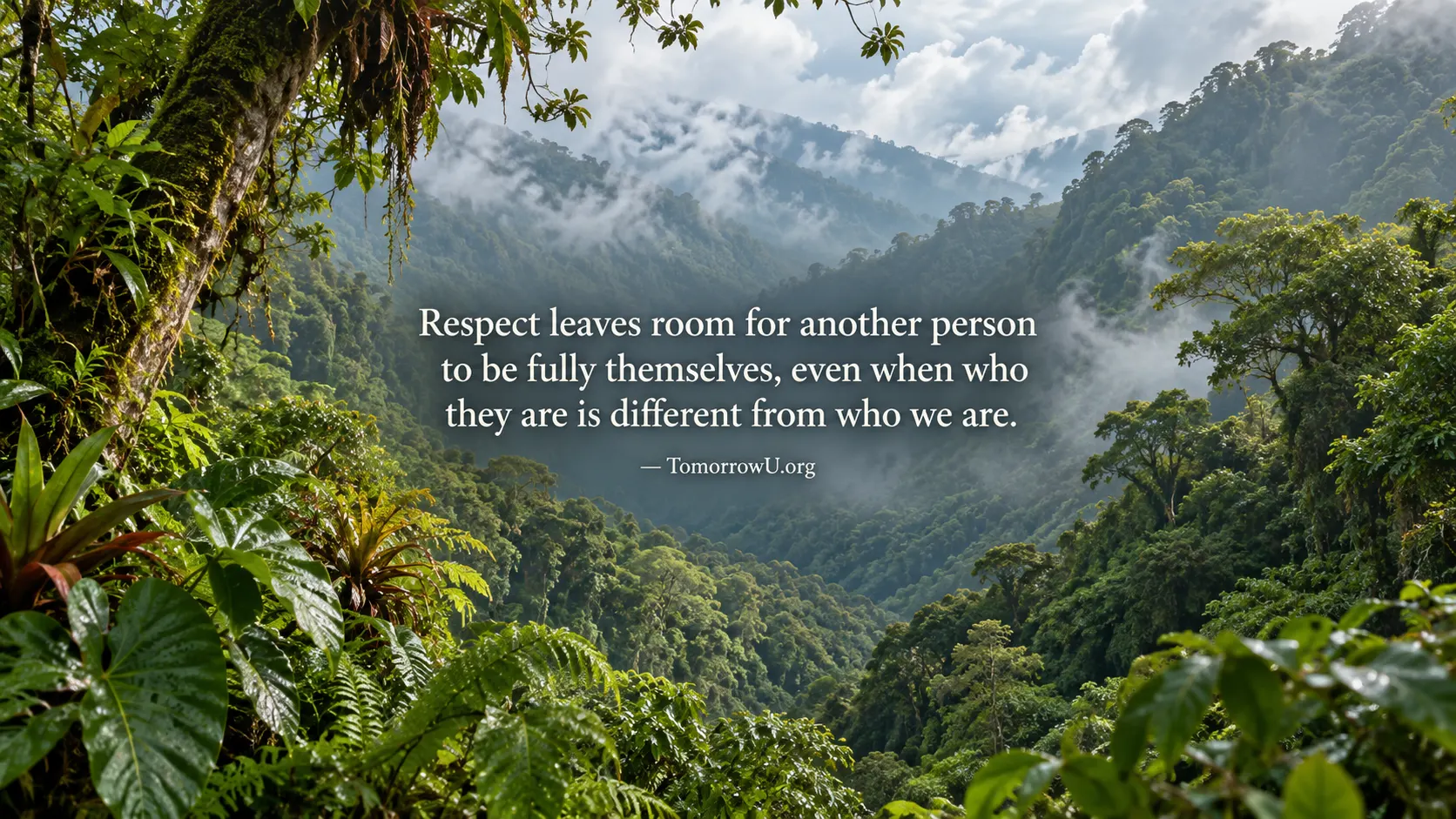 You are currently viewing Respect