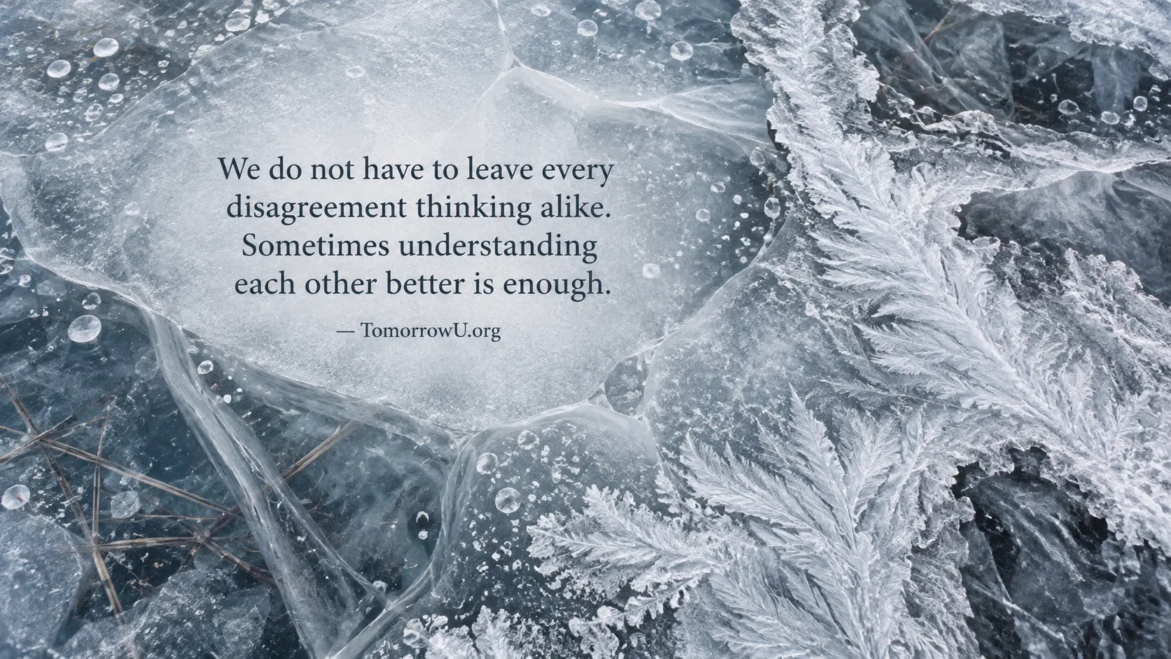 You are currently viewing Understanding Over Being Right