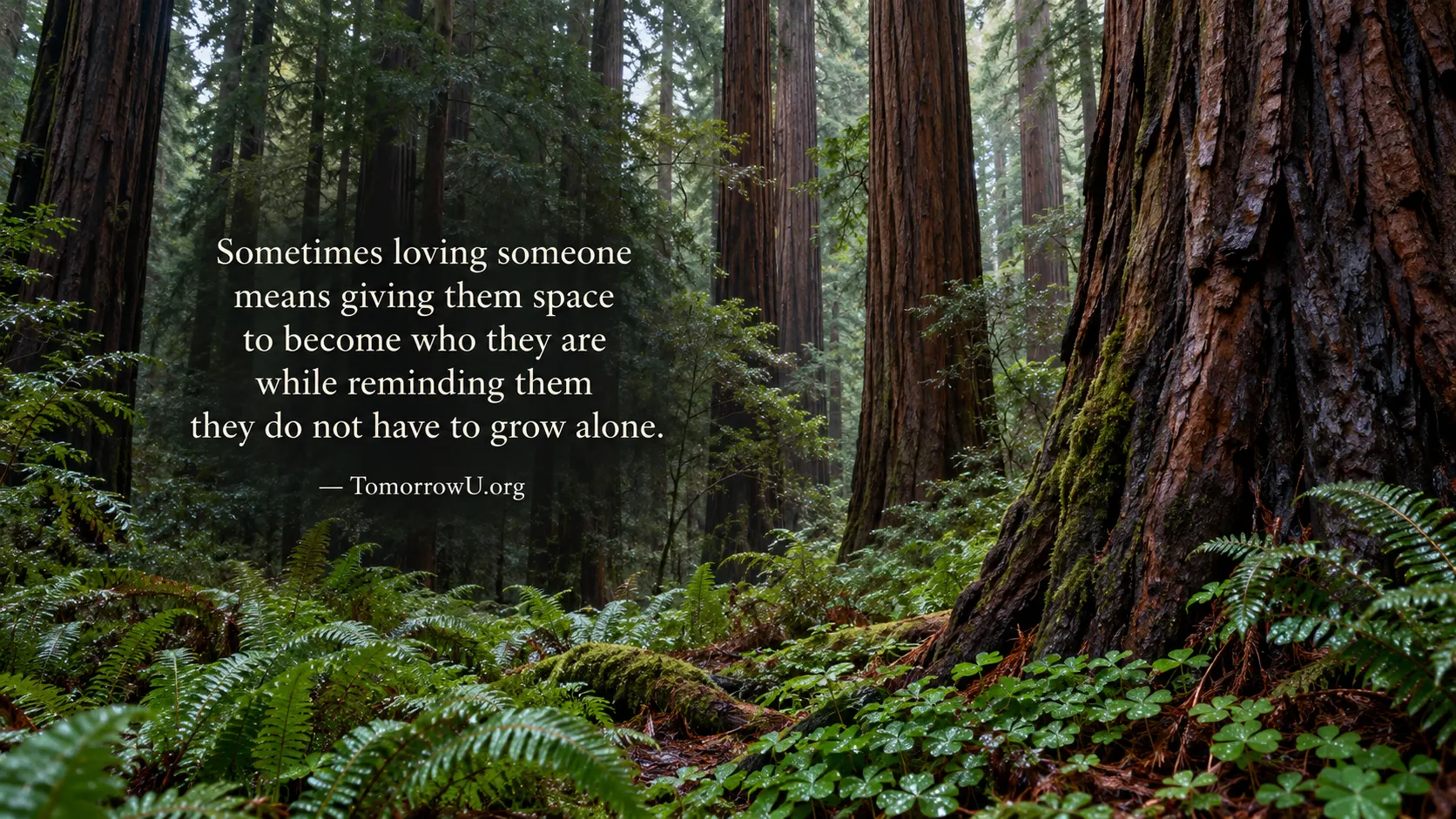 You are currently viewing Growing Alongside One Another