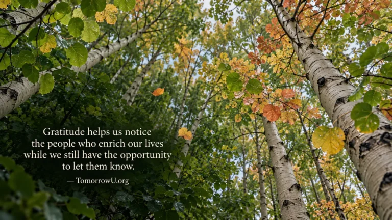 Read more about the article Gratitude